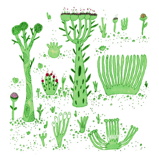 plant food koalas hug trees to keep cool